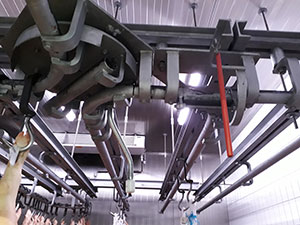 Kettenzüge Wandwinden Rohrbahnanlage Rohrbahn Schlachtanlagen Kuehlzellen Kettenzüge Wandwinden Rohrbahnanlage Rohrbahn Schlachtanlagen Kuehlzellen